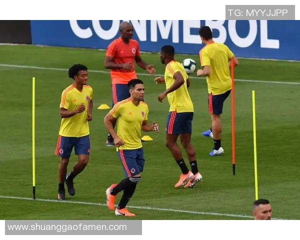 阿根廷与马里比赛前瞻分析及胜负预测详解